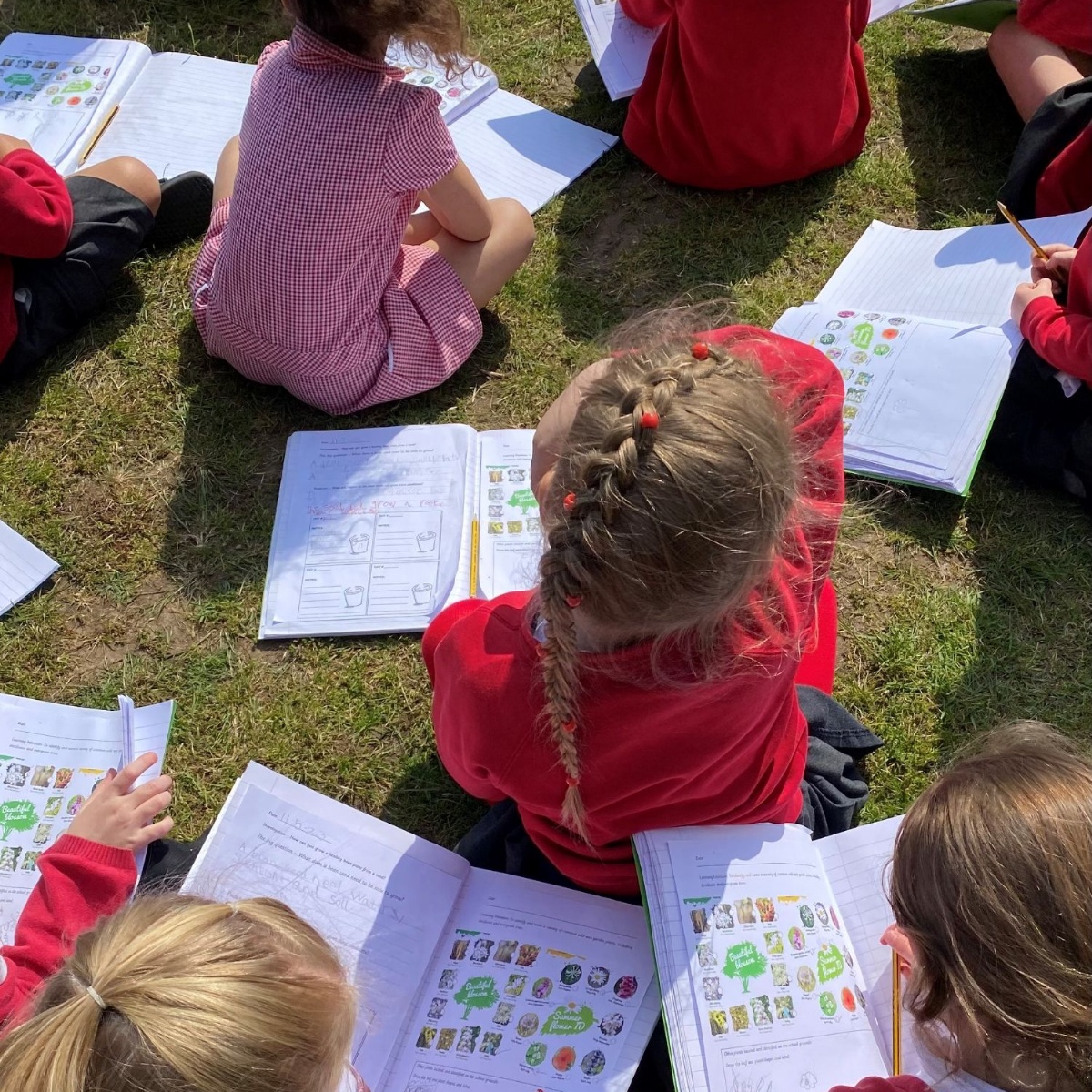 Broke Hall Primary School Outdoor Classroom Day